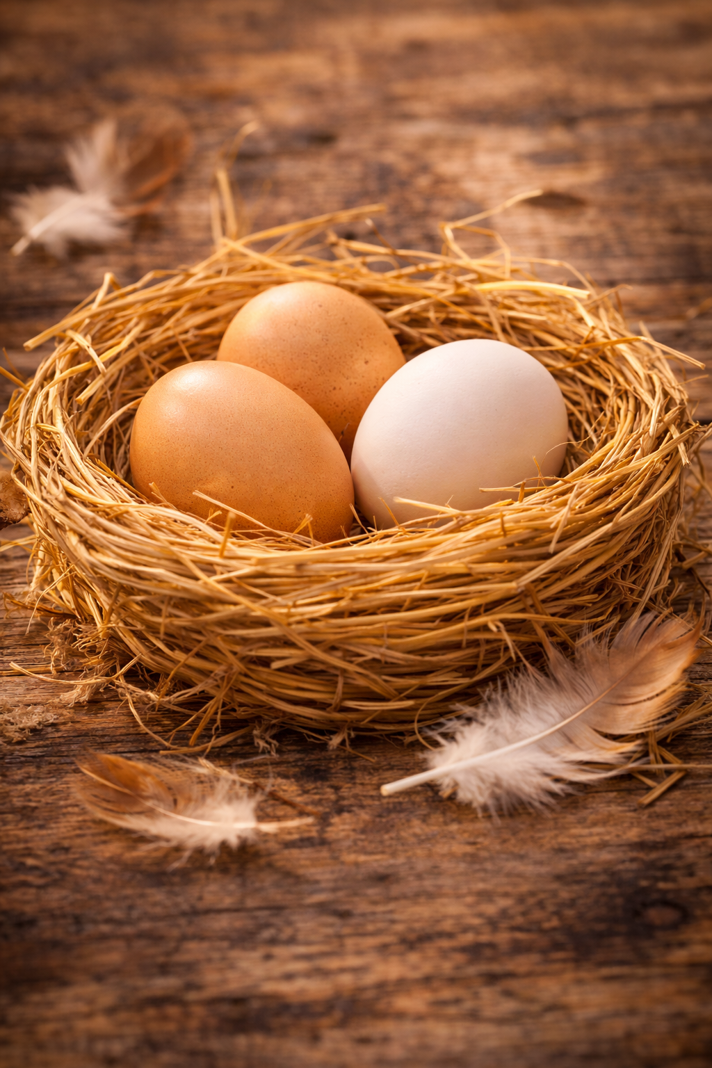 Egg Basket